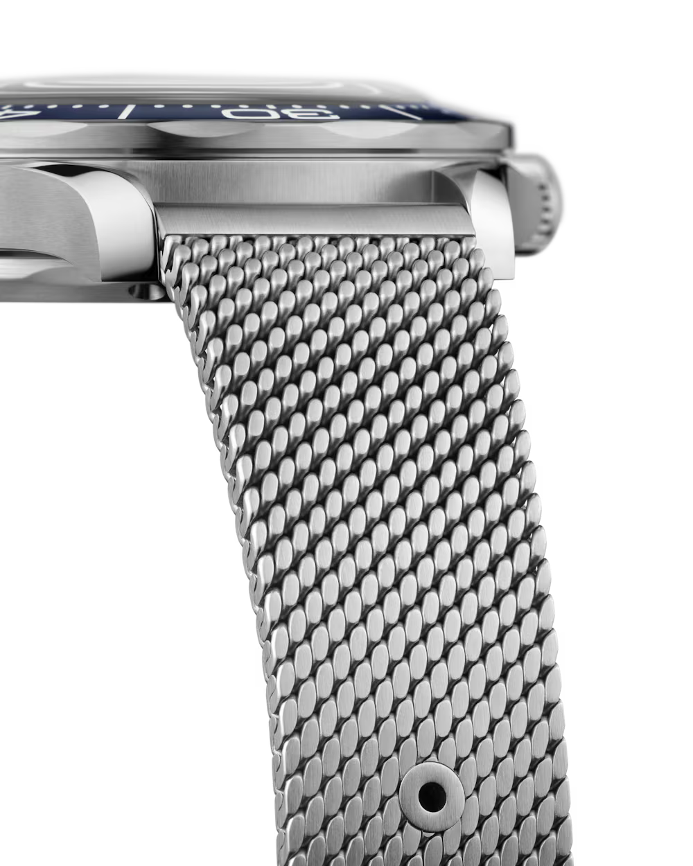 Buy Seamaster Diver 300M 42 mm (Steel on Steel) — Free Shipping